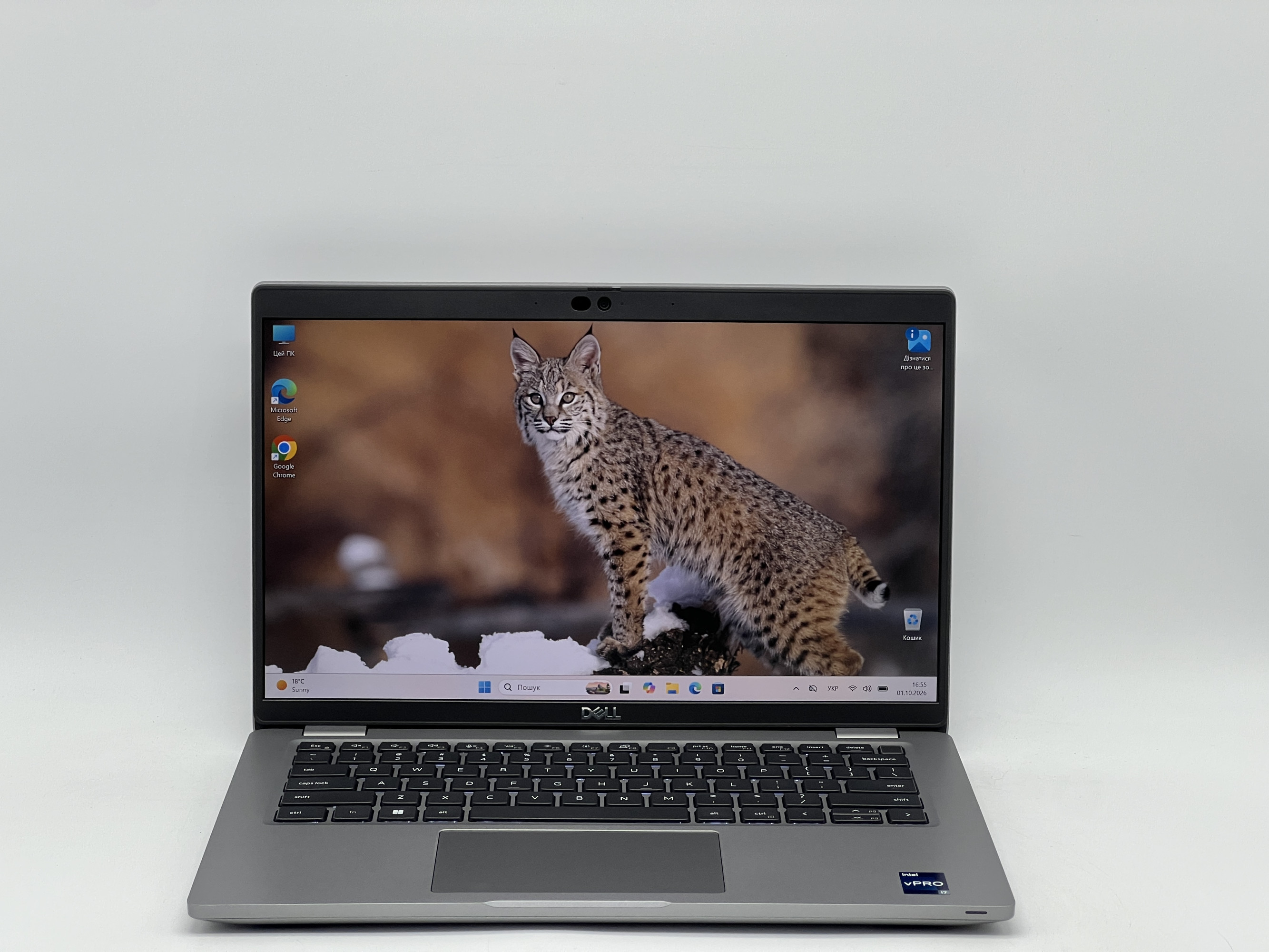 Ноутбук Dell Latitude 5430, i7-1265U, 16 GB, 240 GB, Intel Iris Xe Graphics, 1920x1080, IPS [SH26051097] БУ
